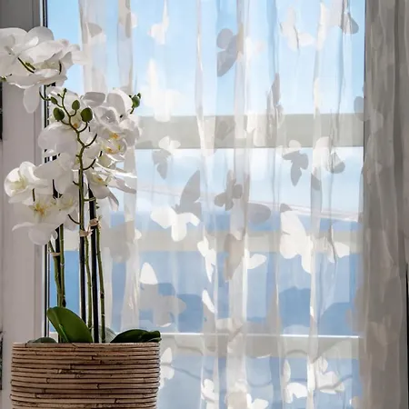 Estudio Loft Horizonte Playa Fossa