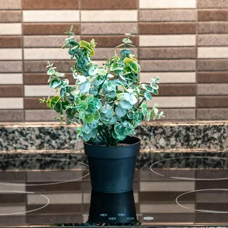 Estudio Loft Horizonte Playa Fossa Lejlighed Calpe