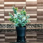 Estudio Loft Horizonte Playa Fossa アパート カルプ